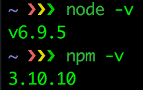 node version print in terminal